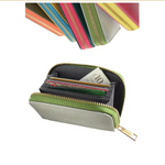 Credit card organiser