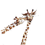 Louise Mulgrew Print