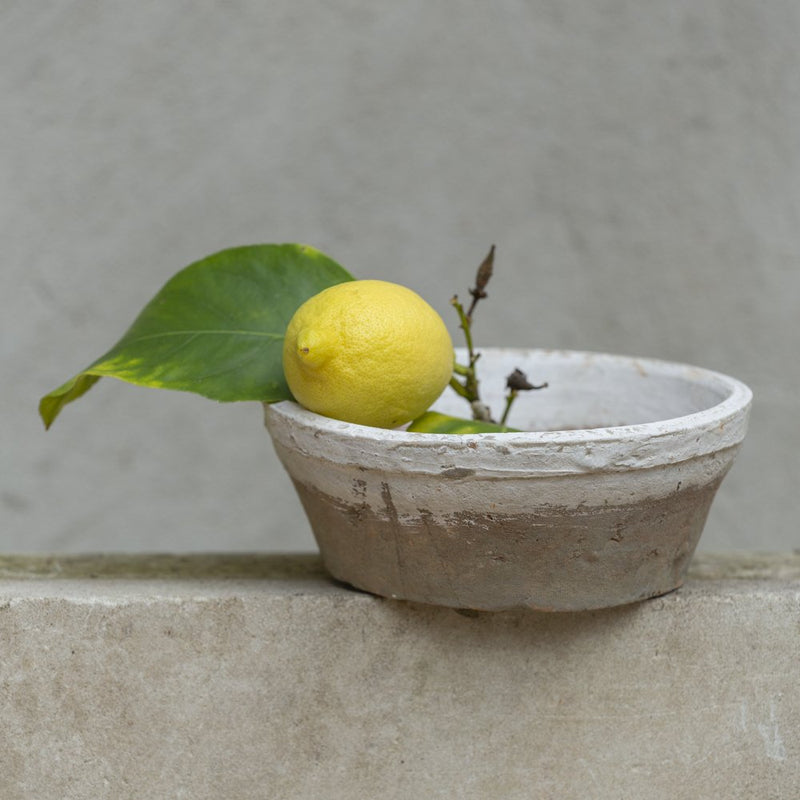 Clay pot