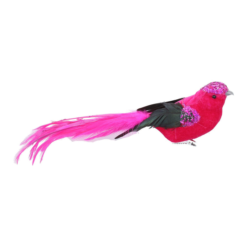 Clip on Fuchsia Bird