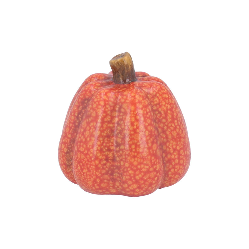 Mini Orange Speckle Pumpkin