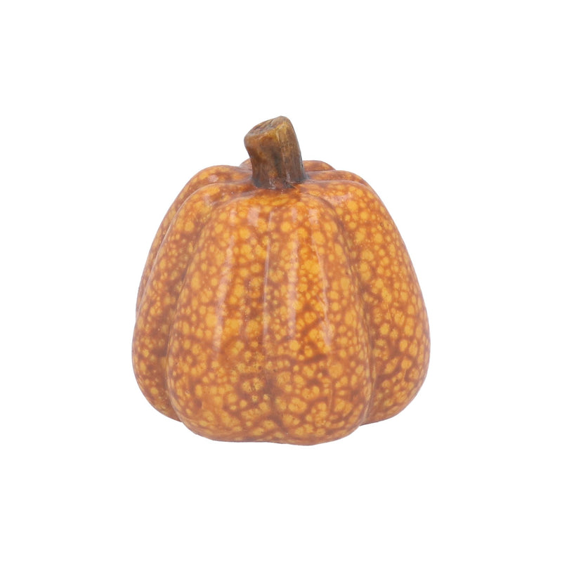 Ochre Speckle Pumpkin