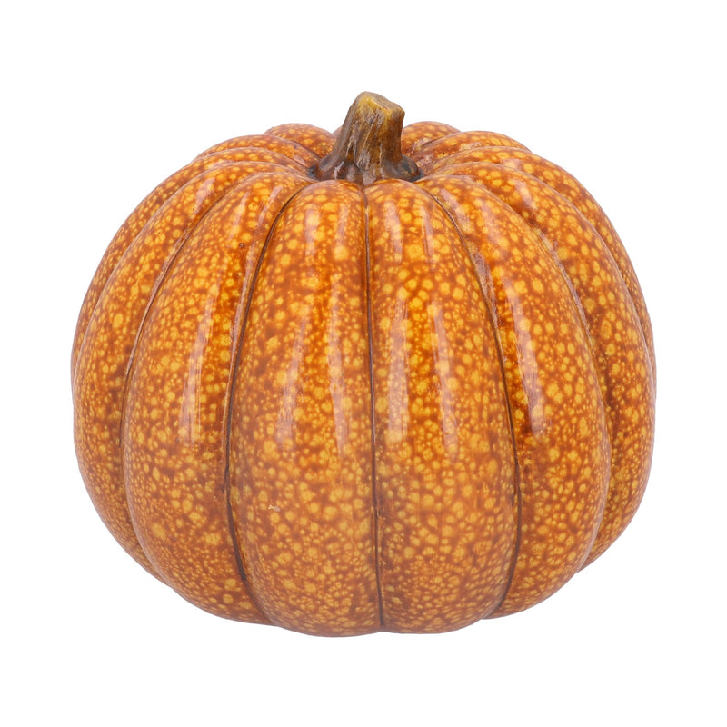 Large Ochre Speckle Pumpkin