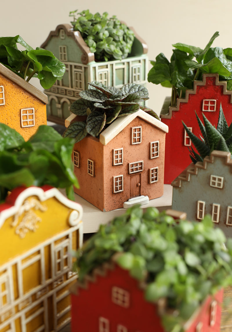 Coloured Houses