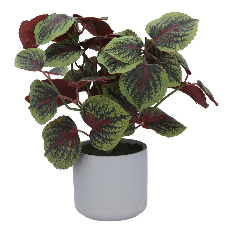 Faux Coleus Potted Plant