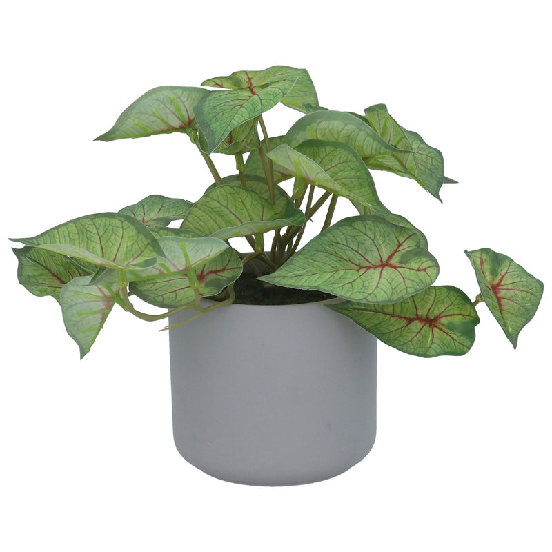 Faux Caladium Potted Plant