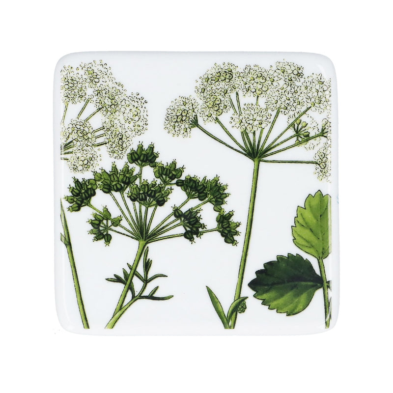 Porcelain Spring Hedgerow Coaster