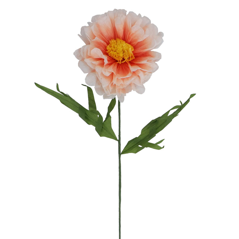Paper Pastel Peony