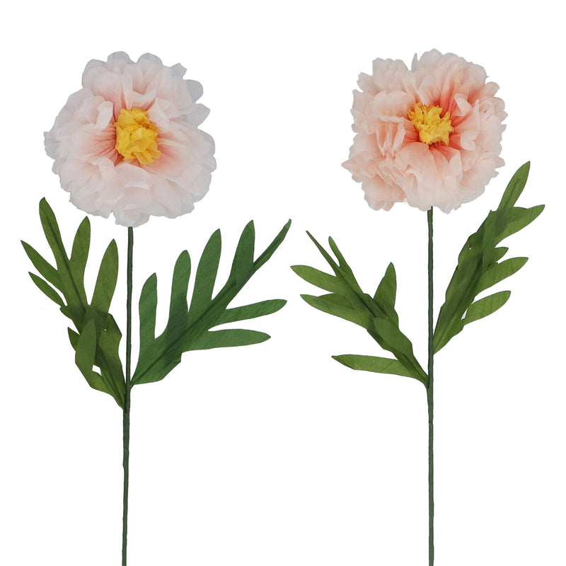 Paper Pastel Peony