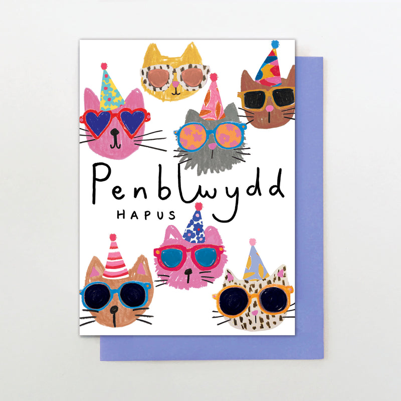 penblwydd hapus cat faces