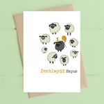Dandelion Design Penblwydd Hapus Cards