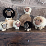 Pom Pom Sheep