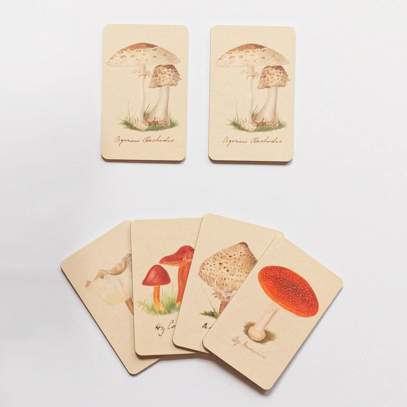 Roomytown Two Deck Playing Card Set