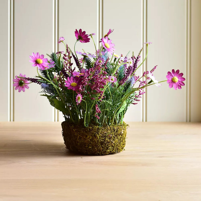 Wildflowers on Oasis