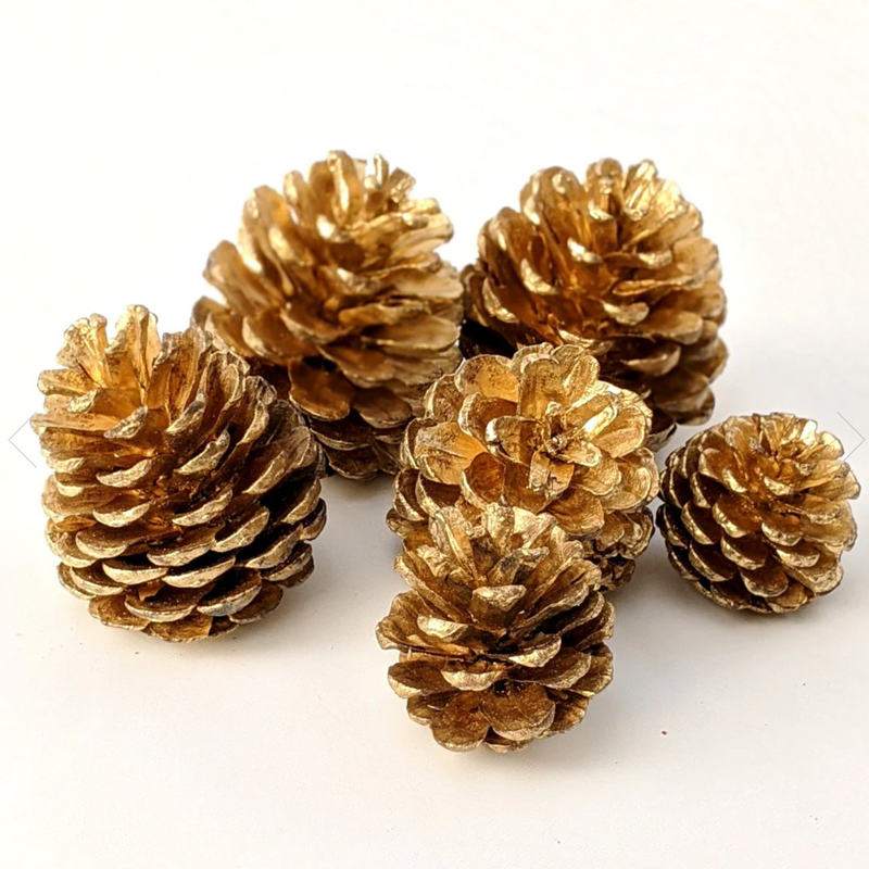 Hanging Gold Painted Fir cone