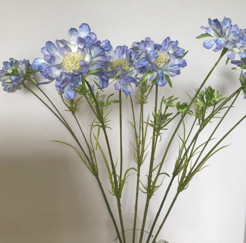 Blue Scabious Flower Spray
