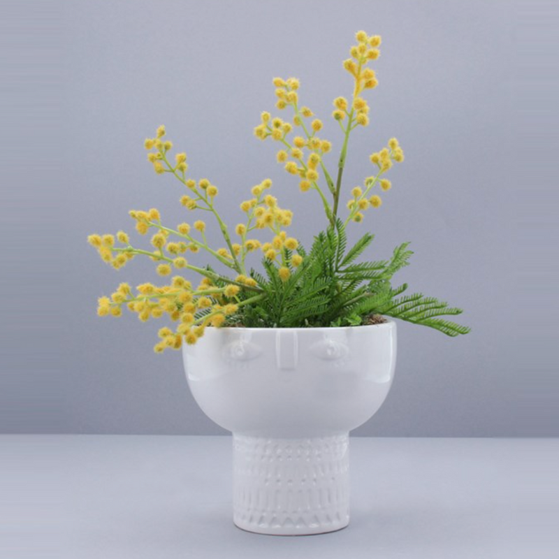 White Faced Decorative Plant Pot