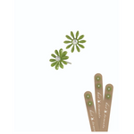 Petit Daisy Stud Earrings