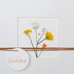 Birthday Cards