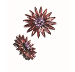Crystal Brooch
