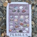 Driftwood Designs Poster Prints