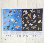 Driftwood Designs Poster Prints