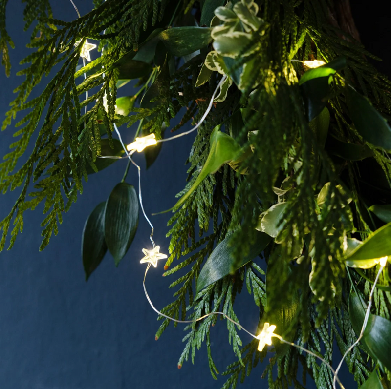 Gilded Star String Lights