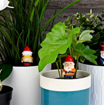 Fun Planters