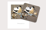 Waterbirds Coaster Card