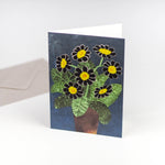 Blank Cards