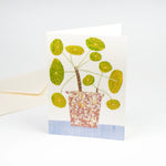 Blank Cards