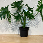 Artificial Plants