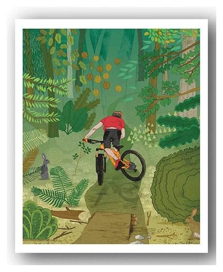 Woods