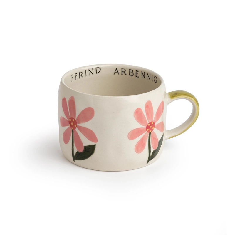 Ffrind Arbennig Mug