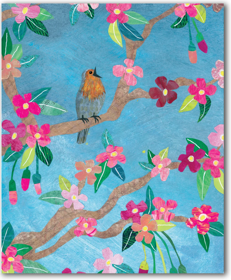 Singing Robin in Cherry Tree