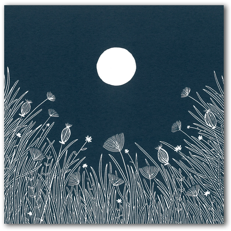 Quiet Night