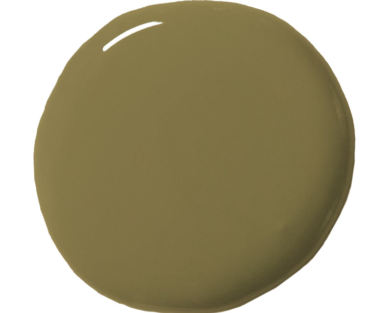 Olive Wall Paint