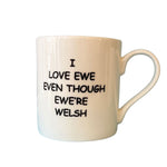 Fun Welsh Mugs