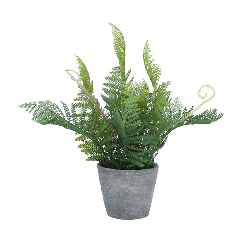 Faux Fern with Tendrils