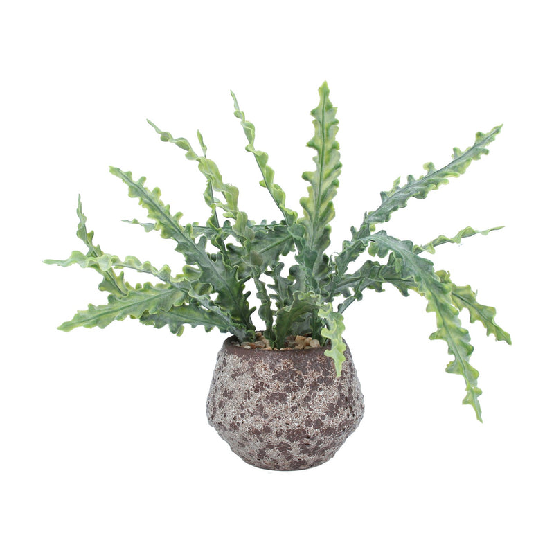 Faux Fishbone Succulent in Aged Pot