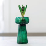 Ribbed Hyacinth Vase